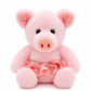 Dance Piggy
