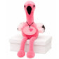 Dance Flamingo